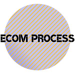 Ecom Process